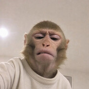Monkey🐒's avatar