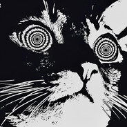 Jouker - steam id 76561197963215515