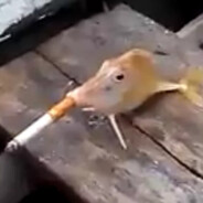 aaaaaaaaaaaaaaaaaaaaaaaaaaaaaaa