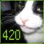 xXxCrazyCatMan420xXx