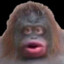 monke