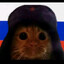 РОСИЙСКИЙ КОТ!!!