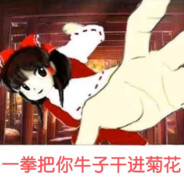 博丽赤色正骨师