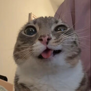 наблюдатель