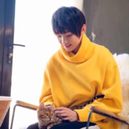 长相思浅情人不知