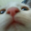 GatiToNaCamera