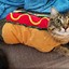 Hotdog Cat