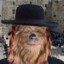 jewbacca