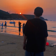 如果你也喜欢枫