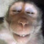 My totem animal