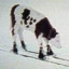 Cow on Skis