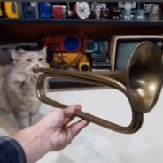 СКОТЧ НА ПОПЕ