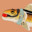 FetishFish