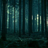 Lost