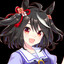 Kitasan Black