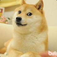 描边大师