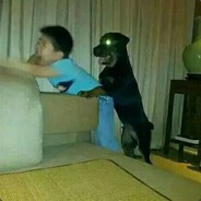 给我鸡儿放天假丶、