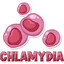 ХЛАМИДИЯ