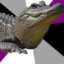 GatorGaming