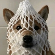 高呼吾名阿萨辛！