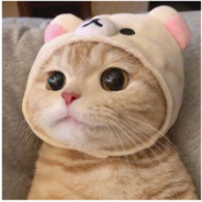 调查你避税多不多