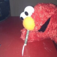 ★︎FeveuCapDeLeu★