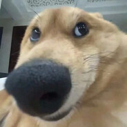 kutascheats.org Steam avatar