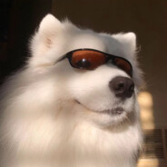 Big Avatar