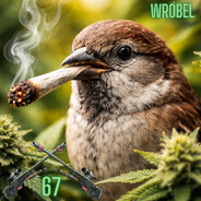 Wrob3l.xxxQ