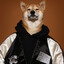 BadDog