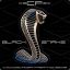 Black Snake