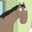 peter... the horse is here