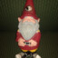 FSU Gnome