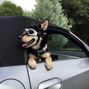 我是和平精英高手