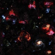 Pacific Regal Blue Tang