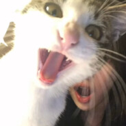 干拉然后玩手机