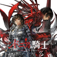 我是希德尼娅的骑士