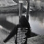 Nalle