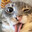 Freaky kitty