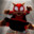 Spider Cat