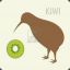 Coykiwi