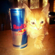 jxen シ - steam id 76561198321959579