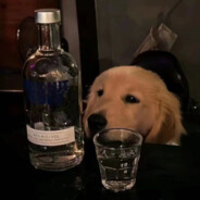 PP的哈曼扫不了码