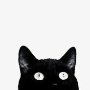 牧沐暮是哪个木