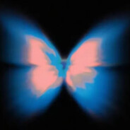 辅助全靠混-有丸没丸