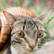 sour punk snail 1's Avatar