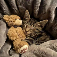 你一句负责我切十年菜