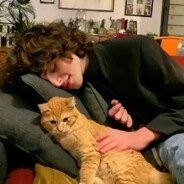 卡布奇诺爱逃避