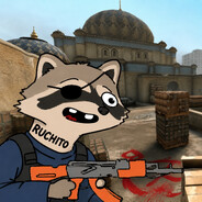 Mapache Impactado