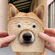 没有电充那就手冲吧